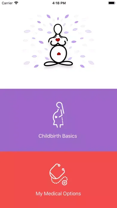 Ảnh chụp màn hình của Childbirth Basics