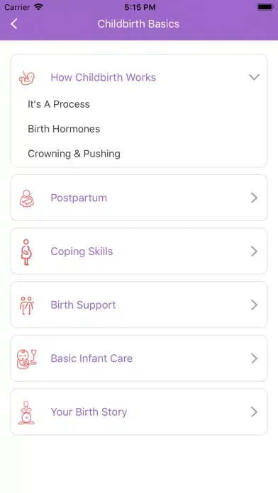Ảnh chụp màn hình của Childbirth Basics