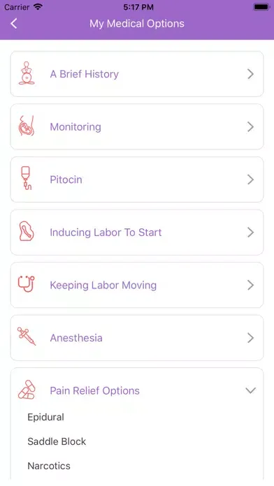 Ảnh chụp màn hình của Childbirth Basics