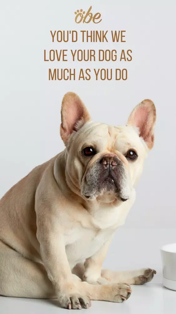 Ảnh chụp màn hình của Obe Digital Dog Wellness