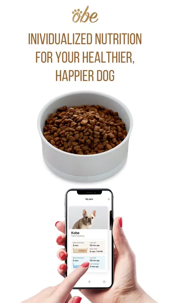 Ảnh chụp màn hình của Obe Digital Dog Wellness