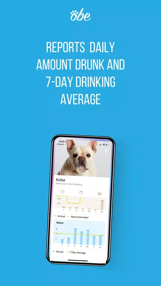 Ảnh chụp màn hình của Obe Digital Dog Wellness