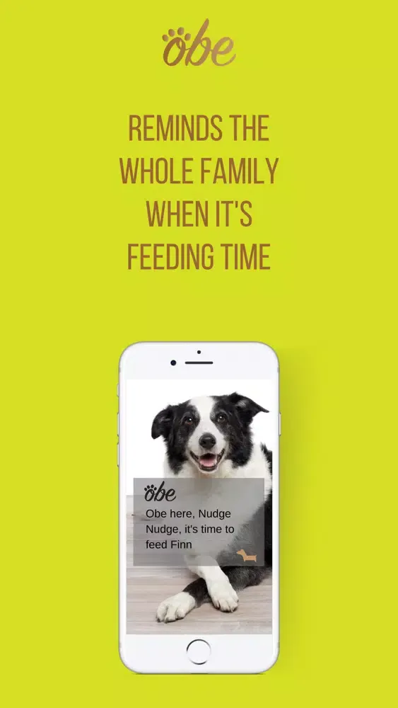 Ảnh chụp màn hình của Obe Digital Dog Wellness
