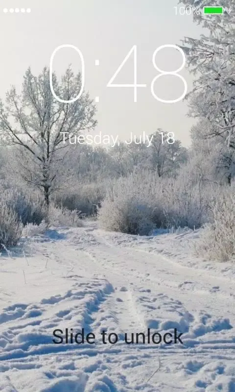 Winter Lock Screen Screenshots