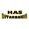 Has Diyarbakır