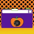 Halloween Photo Free