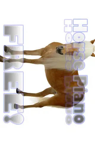 Tangkapan skrin Horse Piano Free