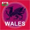 Wales Looksee AR