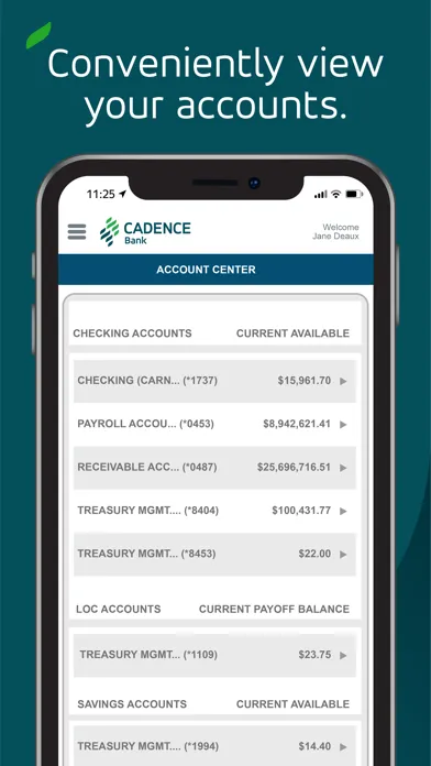 Cadence Treasury Mobile Ekran Görüntüleri