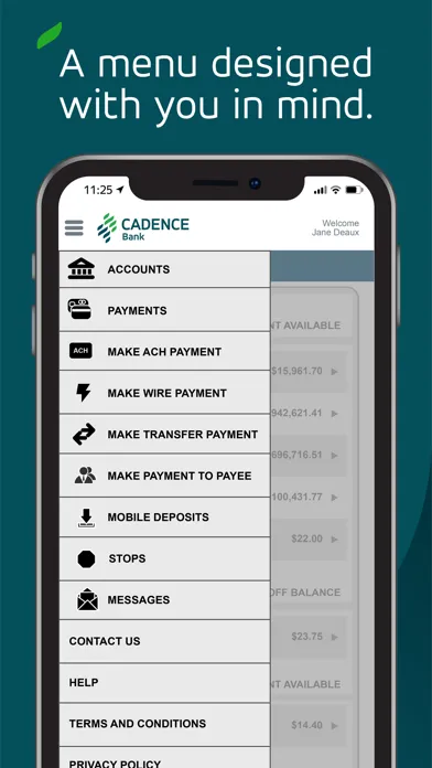 Cadence Treasury Mobile Ekran Görüntüleri