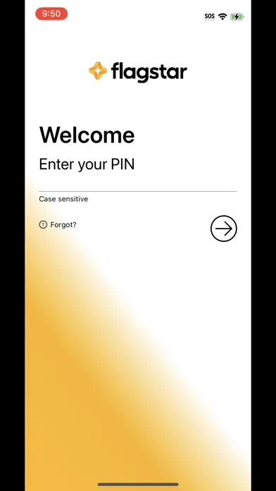 Скриншоты Flagstar Corporate  Token