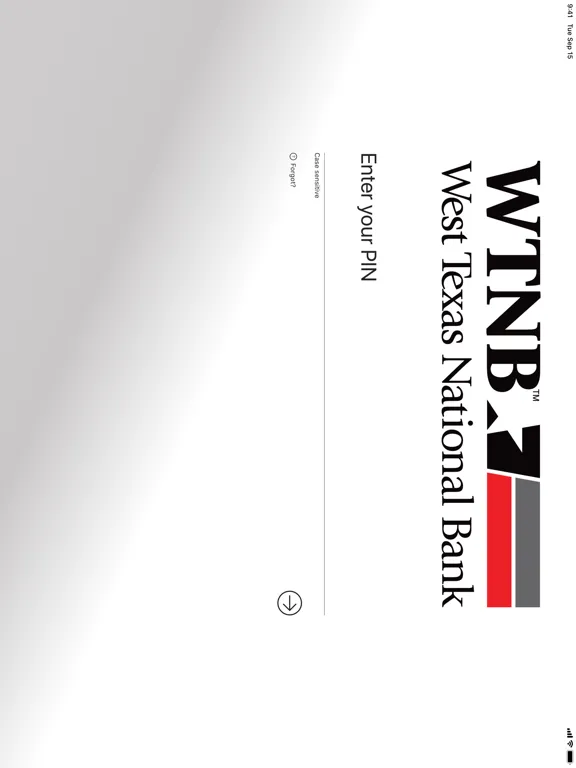 Скриншоты WTNB BUSINESS TOKEN iPad 