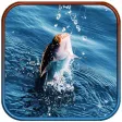 Real Wild Fishing Ace: Catch Paradise Real Wild Fishing Ace: Catch Paradise