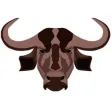 Bivol