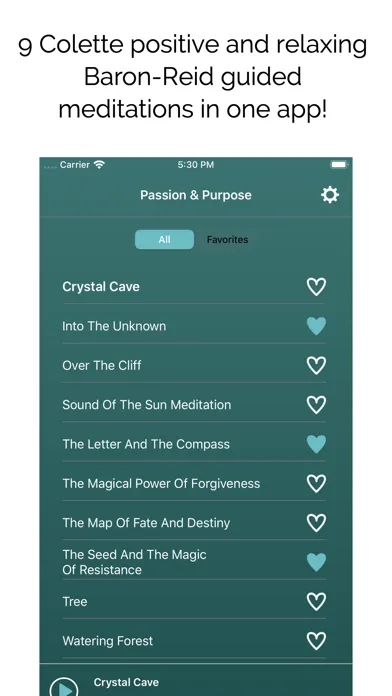 Captures d'écran de Passion & Purpose Meditations