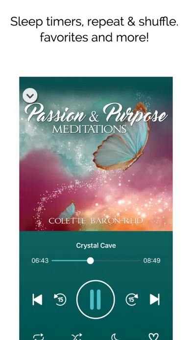 Captures d'écran de Passion & Purpose Meditations