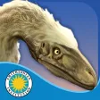 Velociraptor: Small and Speedy Velociraptor: Small and Speedy