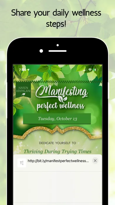 Manifesting Perfect Wellness Screenshots