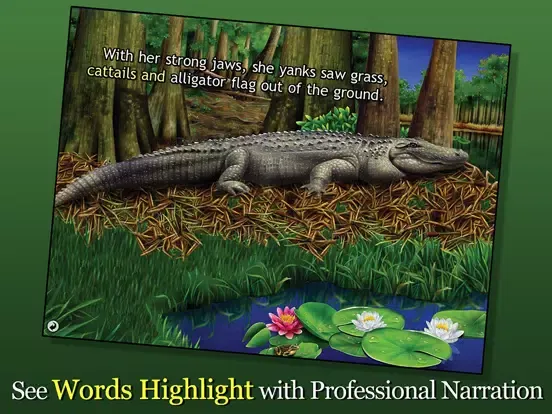 Zrzuty ekranu Alligator at Saw Grass Road iPad 