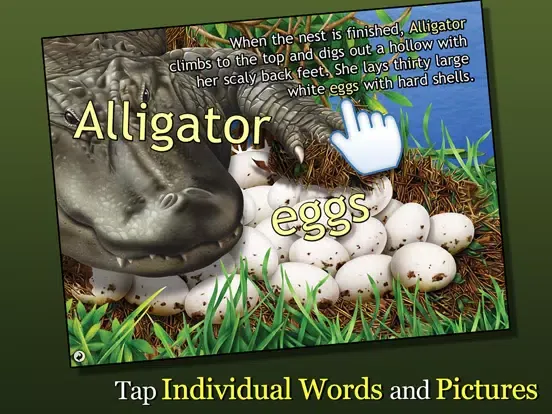 Zrzuty ekranu Alligator at Saw Grass Road iPad 