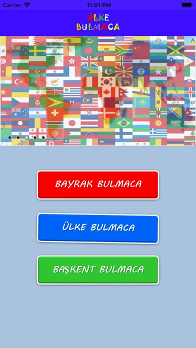 Ülke Bulmaca স্ক্রিনশট