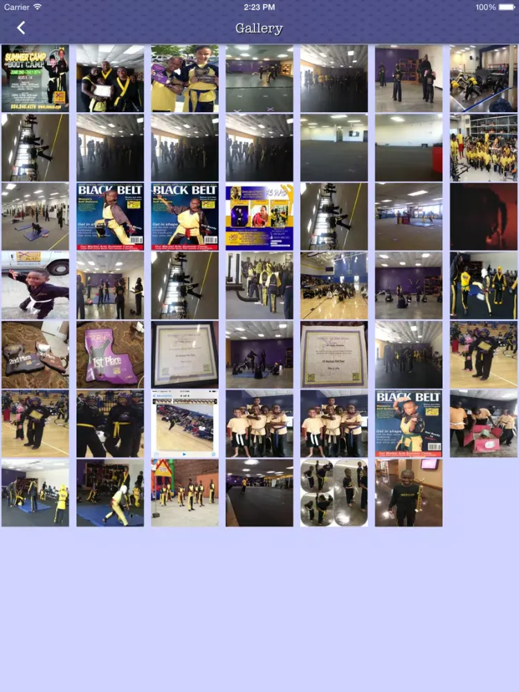 XS Martial Arts Dojo iPad 應用截圖