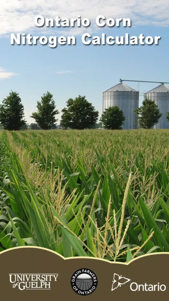 Ontario Corn Nitrogen Calculator Screenshots