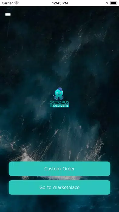 Octopus Delivery Screenshots