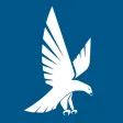 Falcon GPS Trackers Falcon GPS Trackers