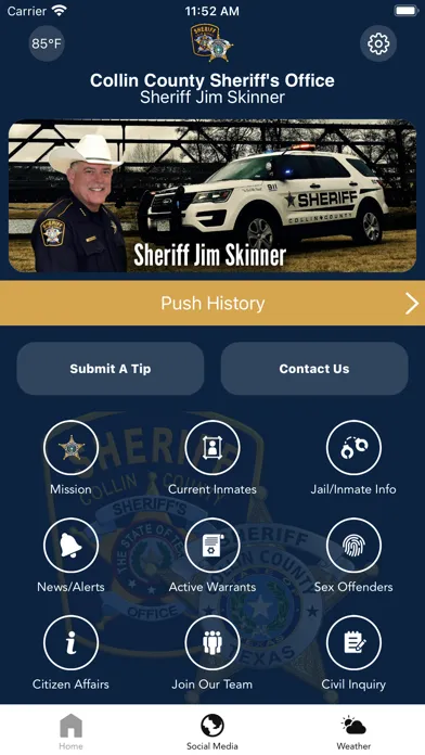 Tangkapan skrin Collin County Sheriff TX