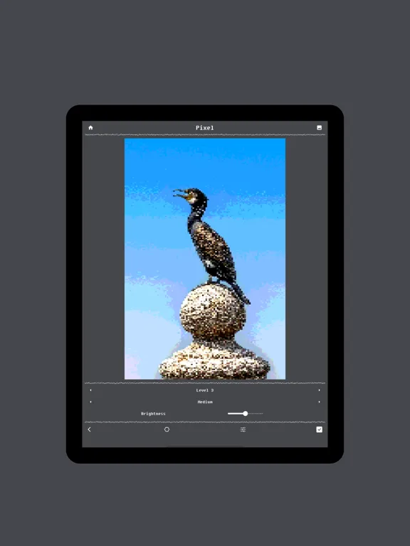 ODD: Game-Style Photo Filters iPad  スクリーンショット