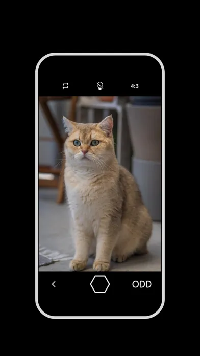 ODD: Game-Style Photo Filters スクリーンショット
