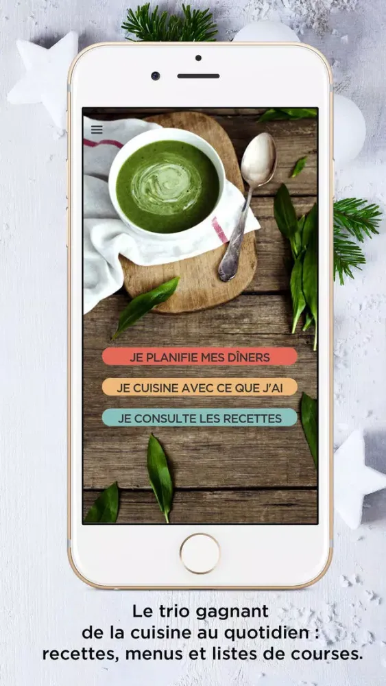 Aux Petits Oignons - Mes Menus应用截图