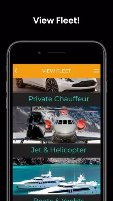 Ảnh chụp màn hình của VIP Rentals Global