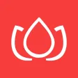 OE Wordbook 2