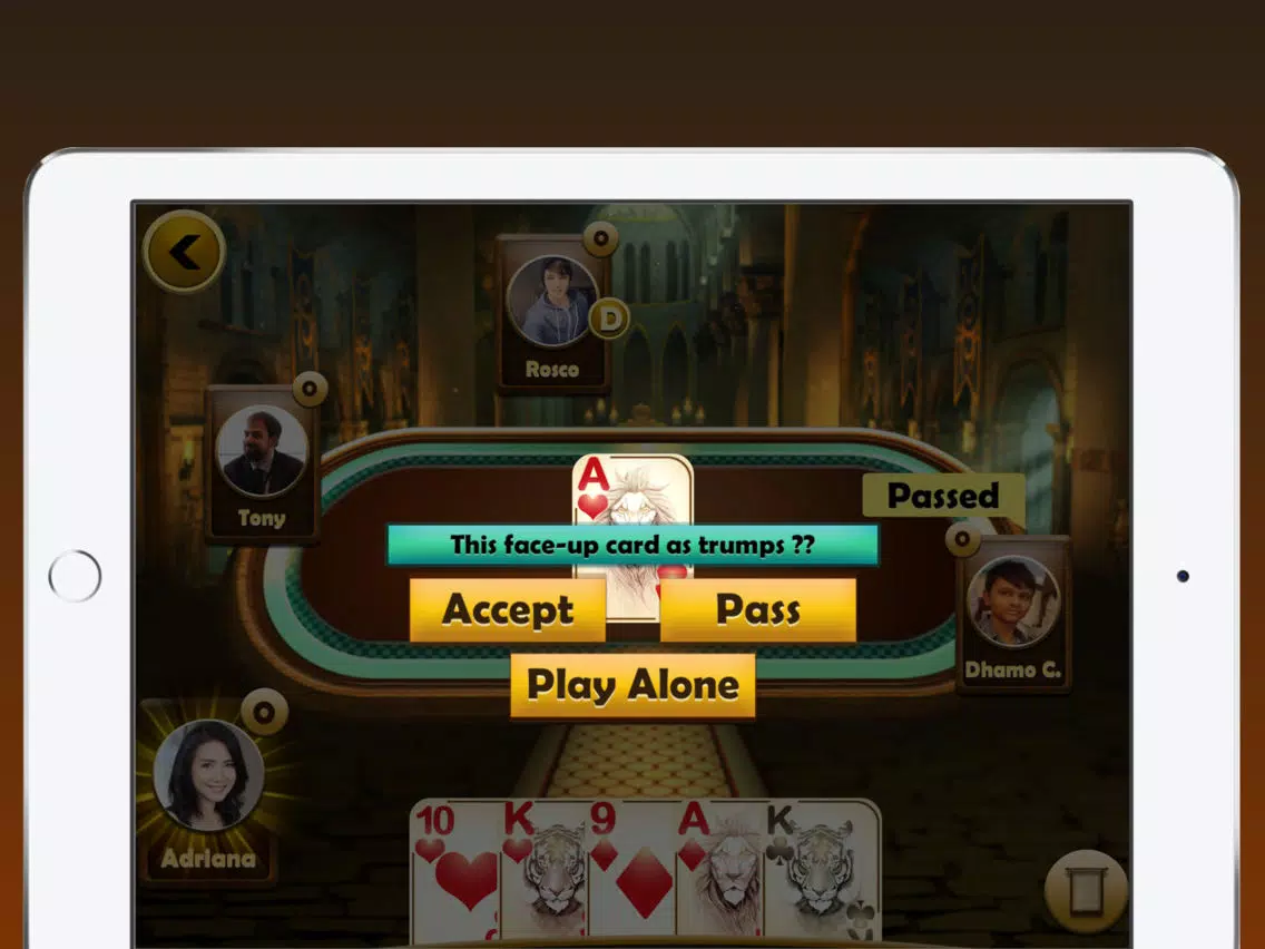 Euchre Plus iPad 应用截图