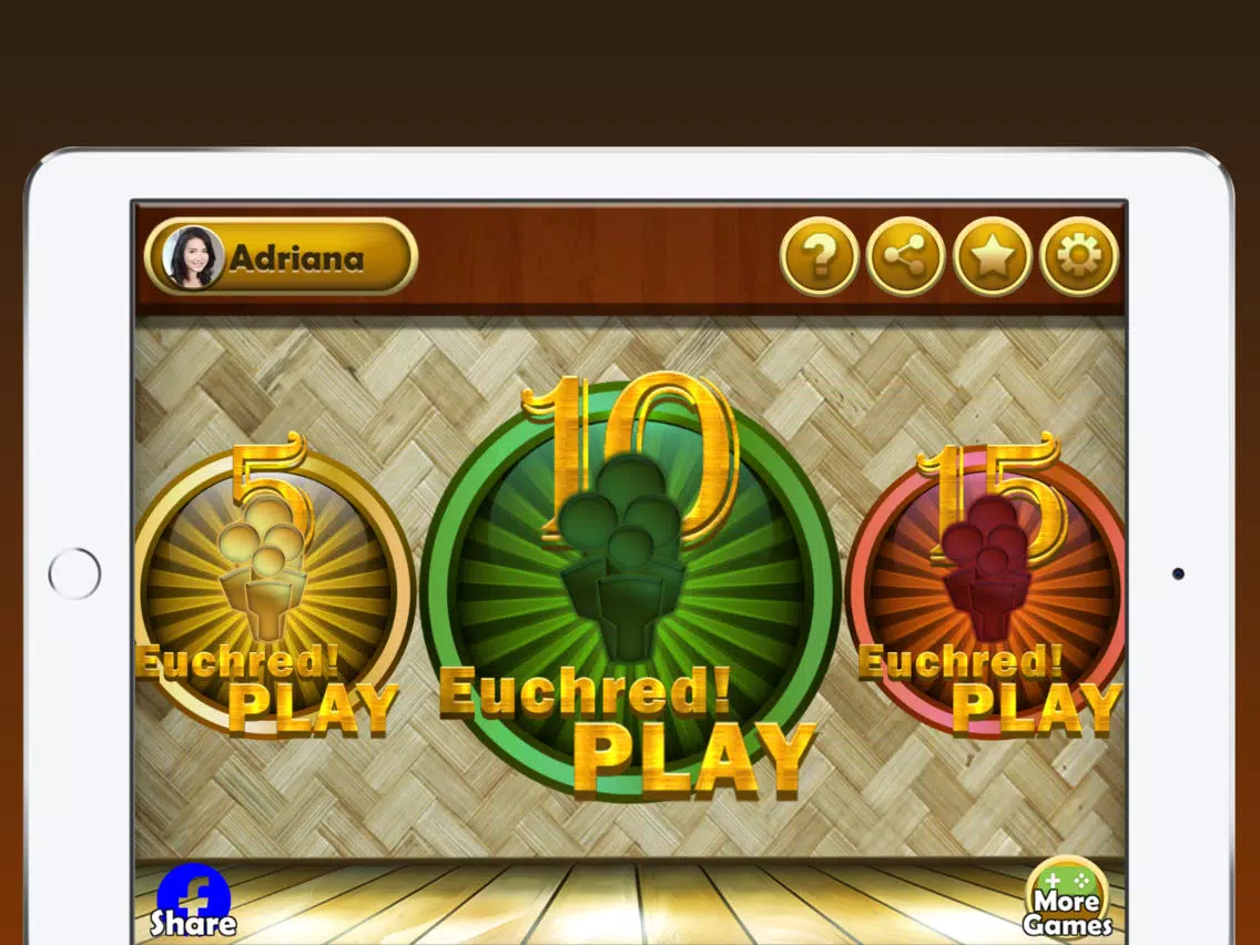 Euchre Plus iPad 应用截图