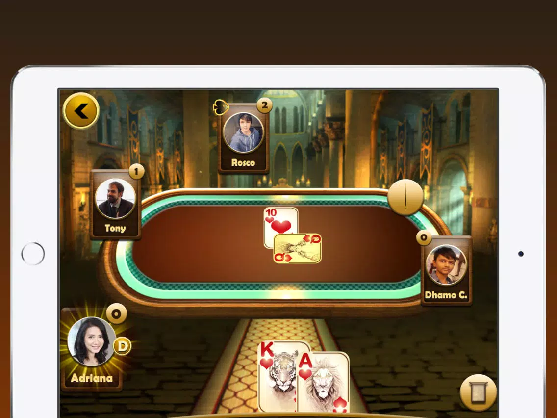 Euchre Plus iPad 应用截图