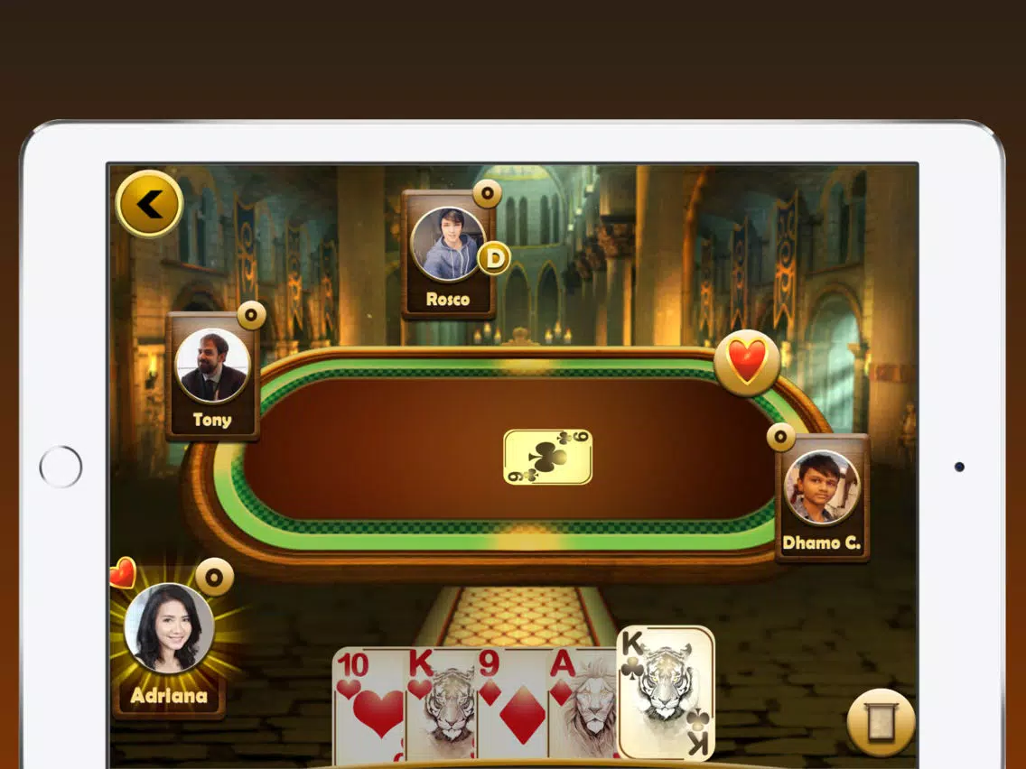 Euchre Plus iPad 应用截图