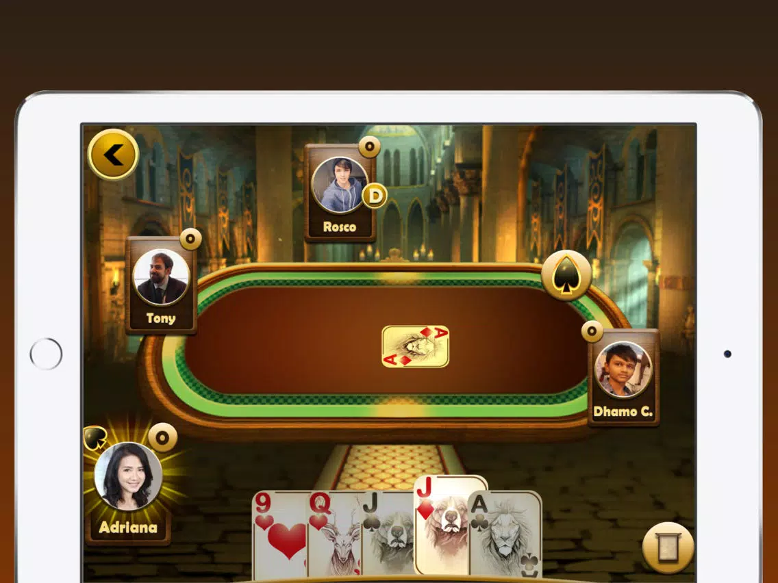 Euchre Plus iPad 应用截图