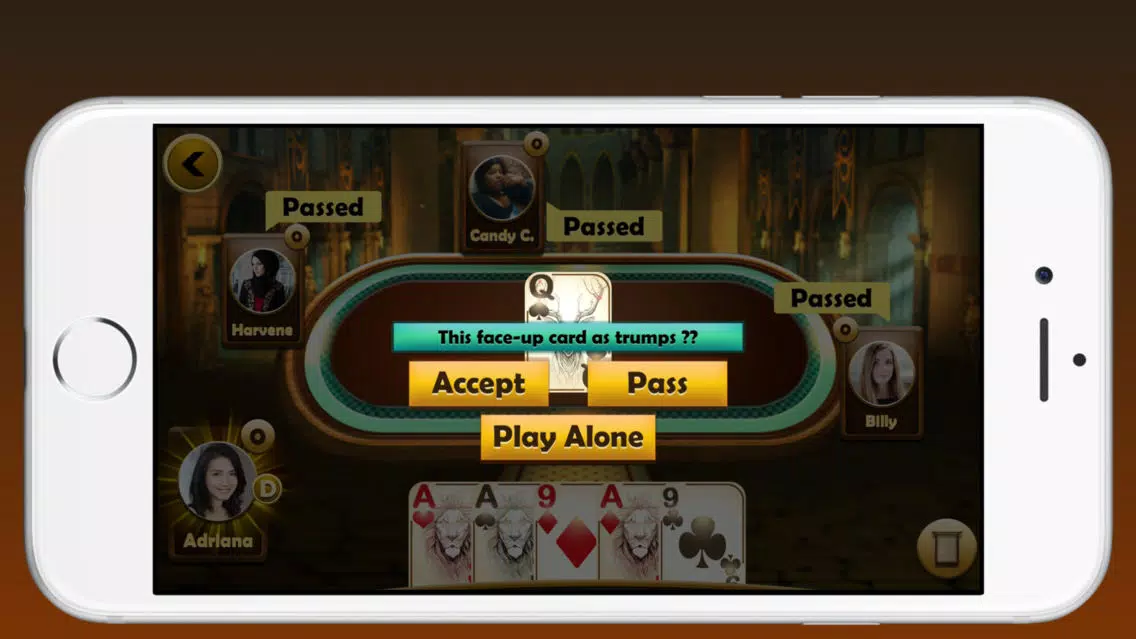 Euchre Plus应用截图