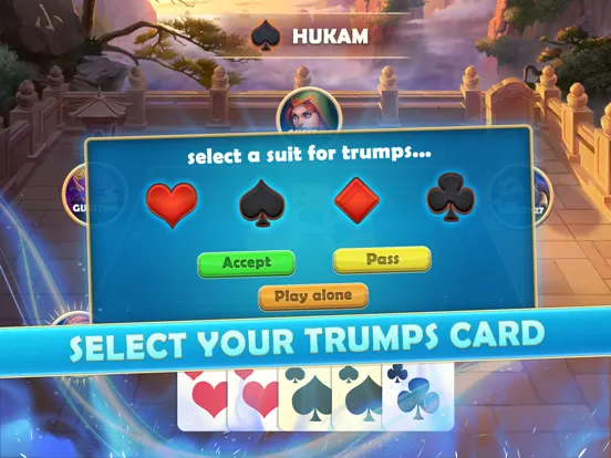 Euchre Cards iPad Screenshots
