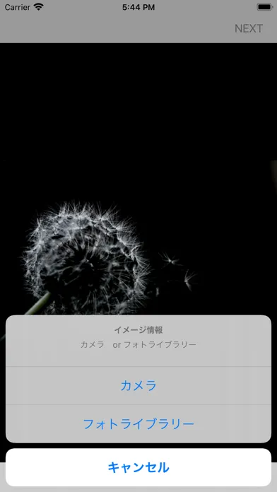 ภาพหน้าจอของ ファション・コレクション