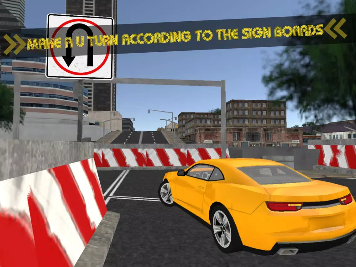 Car Driving School-The Academy iPad 应用截图
