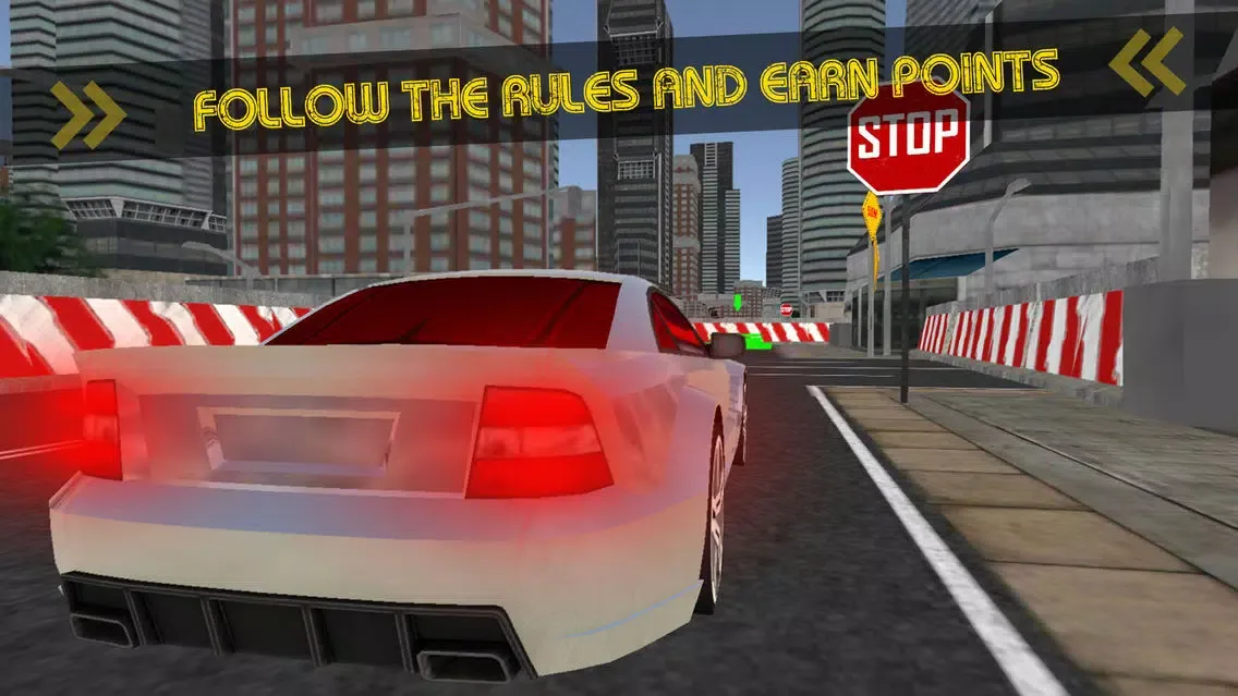 Car Driving School-The Academy应用截图
