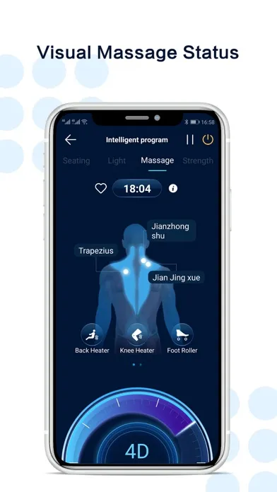 Ảnh chụp màn hình của OGAWA  Wellness