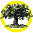 Mother Earth News Archive Mother Earth News Archive