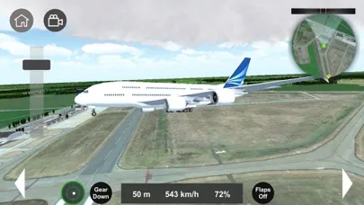 Flight Sim 2024应用截图