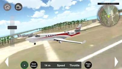 Flight Sim 2024应用截图