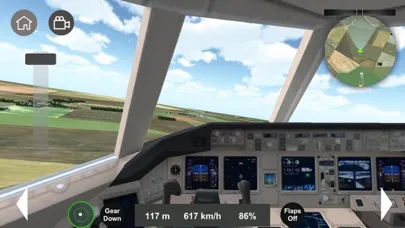 Flight Sim 2024应用截图